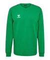 Sweat à capuche Hummel hmlAuthentic Training vert F6325