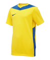 Nike Park Derby IV Shirt Kids Geel Blauw F720  