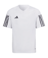 adidas Maglietta Bílá 