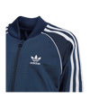 adidas Originals Adicolor SST Track Suit Blue - blau