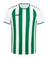 JAKO Inter Trikot Kids Weiss Grün F013