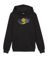 PUMA BVB Dortmund Ftbl ICONS Hoody Schwarz F03 - schwarz