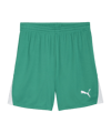 PUMA teamLIGA26 Short Grün F05