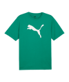 PUMA T-Shirt Vert C005 