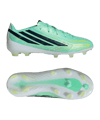 adidas F50 Hyperfast Elite FG Final Rush Bambini Verde