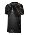Nike FFF France Maillot de gardien de but CM 2026 Enfants Noir C010