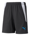 PUMA teamLIGA training 2 short enfants noir F46 