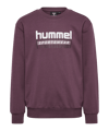 Hummel Sweatshirt Kids Bruin K8156 