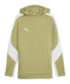 PUMA teamEvostripe Sweatshirt à capuche Vert C40