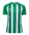 Hummel Match Striped Trikot Grün F6129