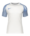 Nike Academy Trikot Kids Weiss Blau F102