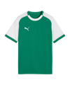 PUMA teamLIGA26 Matchday Shirt Kinderen Groen K05 