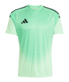 Maillot de gardien adidas Tiro 25 Competition vert 