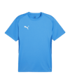 Maillot PUMA teamGOAL bleu F02 