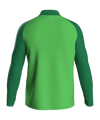 JAKO Iconic Polyester Jacke Grün F222 - gruen