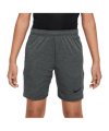 Nike Academy Trainingshort Grau F065