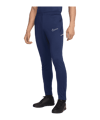 Nike Academy 25 pantaloni da allenamento blu F410 
