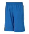 Short de Baskets PUMA Basketball Game bleu F06 