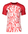 Nike Dry NE GX1 Trikot Rot Weiss  F657 