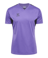 Hummel AUTHENTIC PL Trikot Grau F3766