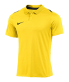 Nike Academy Pro 24 Poloshirt Gelb F719