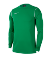 Nike Park 20 Training Sweatshirt Grün F302 