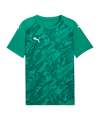 PUMA teamFINAL Graphic Trikot Grün F05