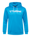 Hummel logo hoody blauw F7428 