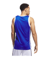 adidas Iconic Squad Trikot Blau - blau
