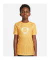 Nike Academy Dri-FIT t-shirt enfants doré F700