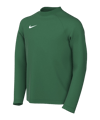 Nike Park VIII Trikot langarm Kids Grün F302