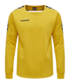 Sweatshirt d'entraînement Hummel Authentic F5001 
