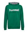 Hummel Cotton Logo Hoody verde F6140 
