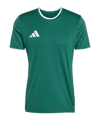 adidas Entrada 26 Shirt Groen 