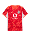 PUMA Borussia Dortmund SS Torwarttrikot 2025/2026 Rot F99