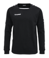 Sweatshirt d'entraînement Hummel Authentic F2114 