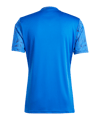 adidas Team Icon 25 Trikot Hellblau - blau