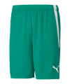 Short PUMA teamLIGA Vert Blanc F05 