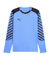 PUMA teamLIGA26 Torwarttrikot Langarm Blau F31