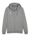 PUMA teamGOAL Casuals Kapuzenjacke Grau F33