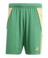 adidas Tiro 24 Court Vert 