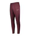 Nike Therma Academy Winter Warrior Hose Kids F652