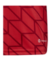 adidas Team Icon 23 Trikot Kids Rot - rot