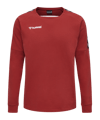 Sweatshirt d'entraînement Hummel Authentic F3062 