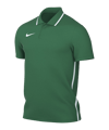 Nike Park 26 Polo Vert C302