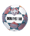 Derbystar FB-BRILLANT TT v23 Trainingsball F176
