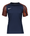 Nike Academy Trikot Kids Blau Rot F411