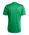 adidas Team Icon 25 Trikot Grün - gruen
