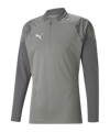 PUMA TeamCUP Halfzip Sweatshirt Grijs F13  