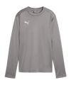 PUMA TeamGOAL Training Sweatshirt Dames Grijs F13  
